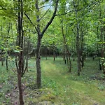 Tiny House Countryside 度假居 *