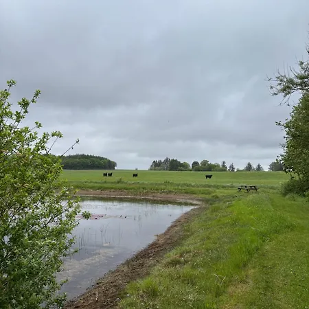Tiny House Countryside 別荘 Hejnsvig