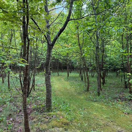 Tiny House Countryside Holiday home *
