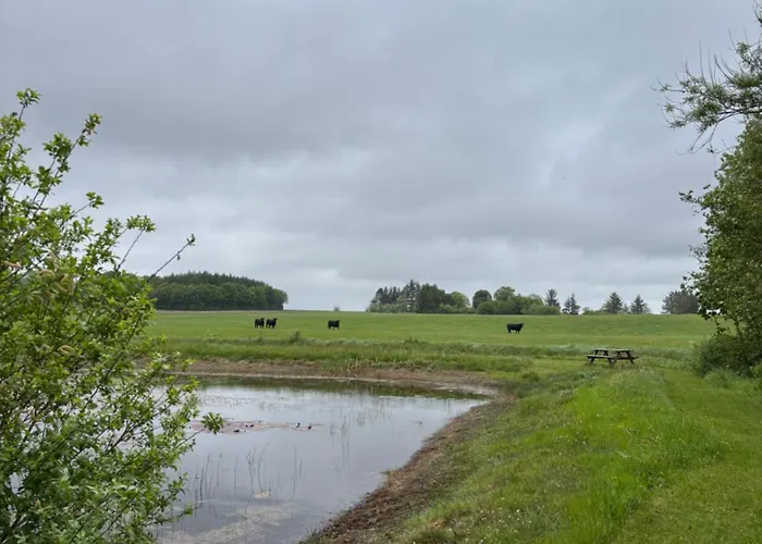 Tiny House Countryside 別荘 Hejnsvig